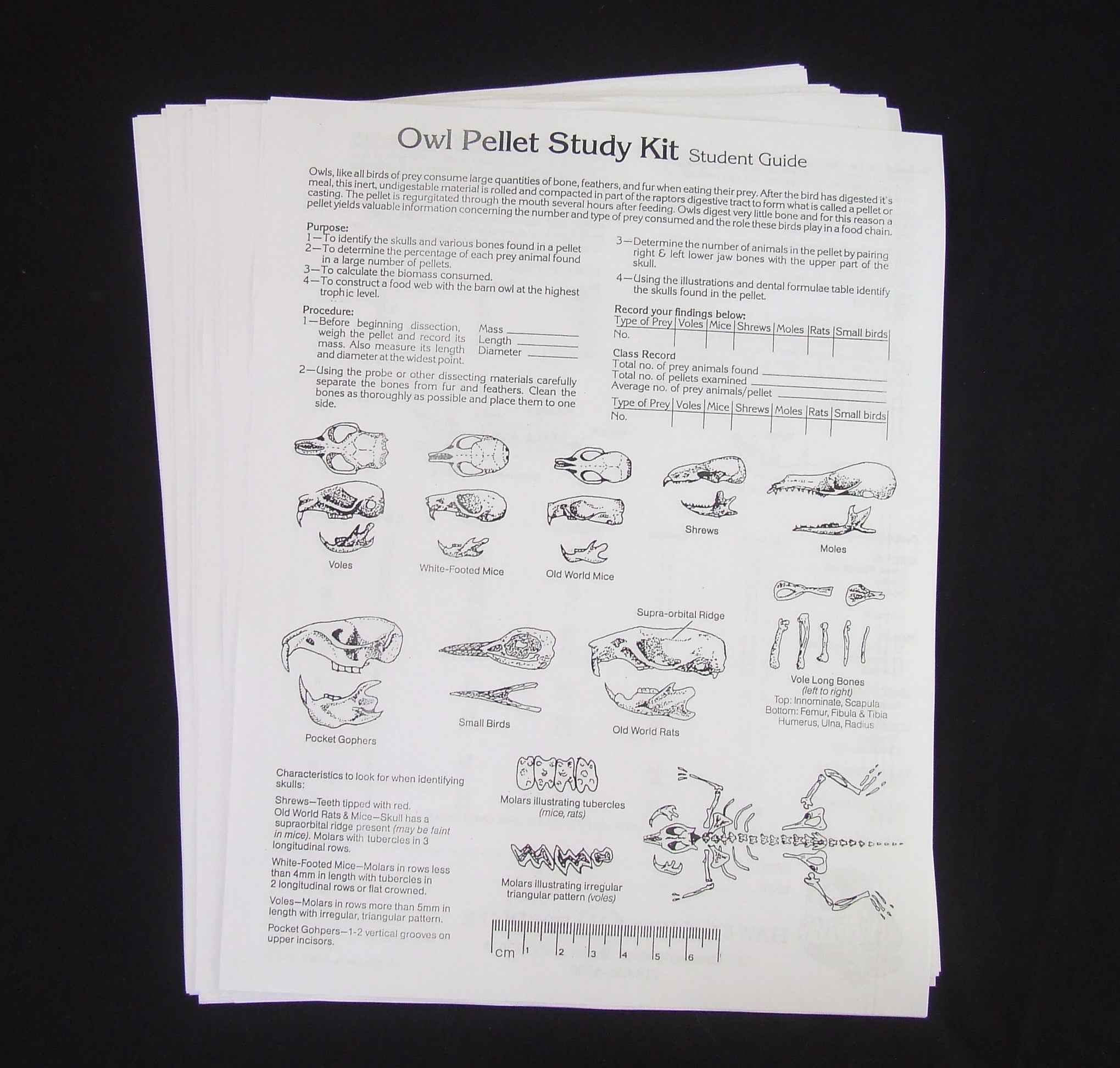 Advanced Owl Pellet Student Guides
