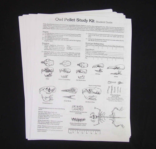 Advanced Owl Pellet Student Guides