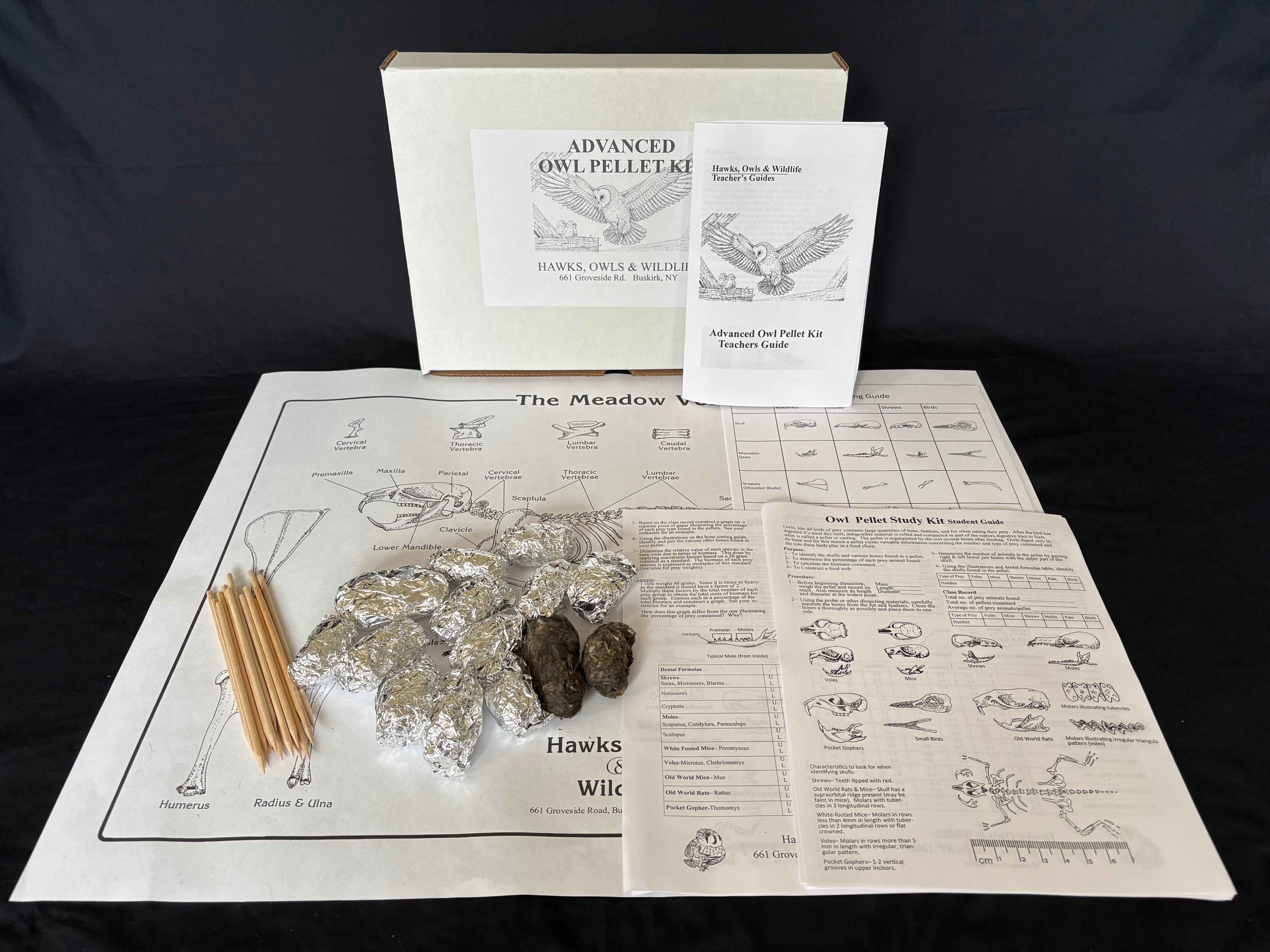 Advanced Owl Pellet Kit- Hawks, Owls & Wildlife
