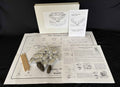 Elementary Owl Pellet Kit- Hawks, Owls & Wildlife