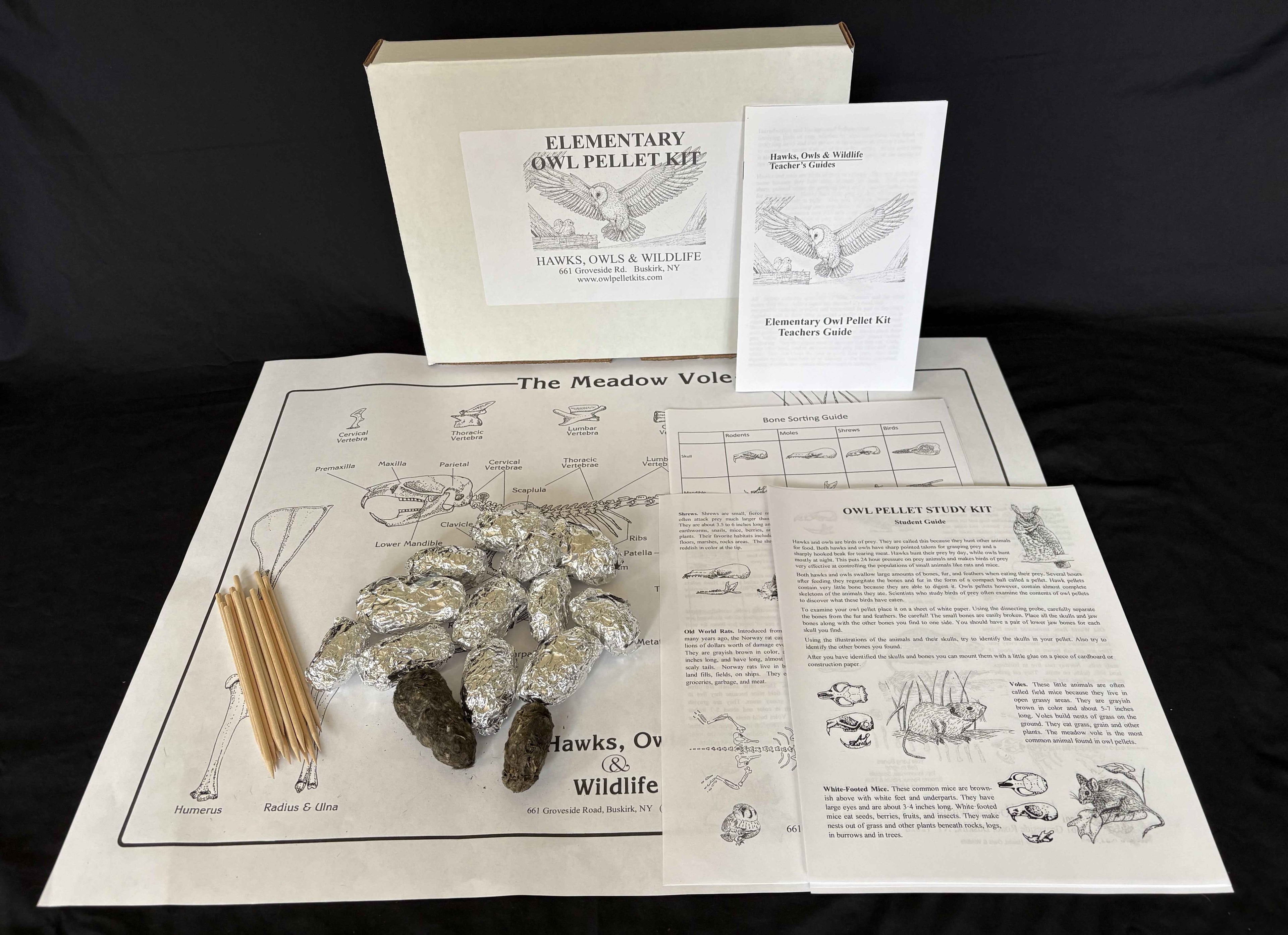 Elementary Owl Pellet Kit- Hawks, Owls & Wildlife