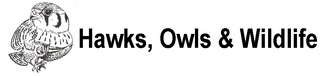 Hawks, Owls &amp; Wildlife  - Home