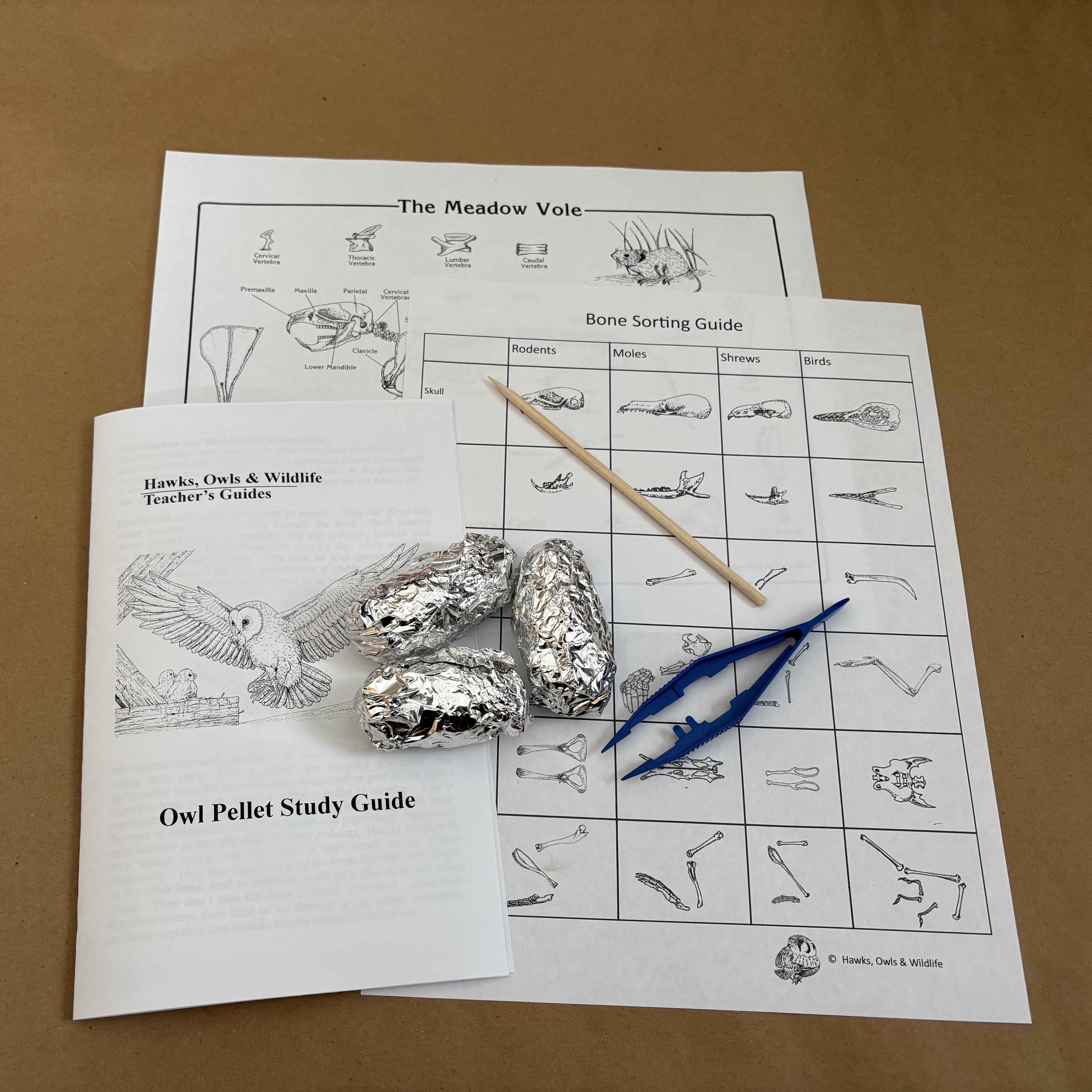 Owl Pellet Mini-Kit- Hawks, Owls & Wildlife